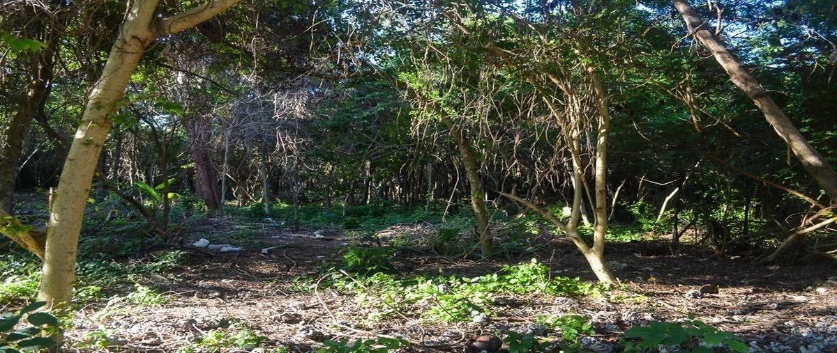 Foto de terreno habitacional en venta en  , tulum centro, tulum, quintana roo, 27318807 No. 04