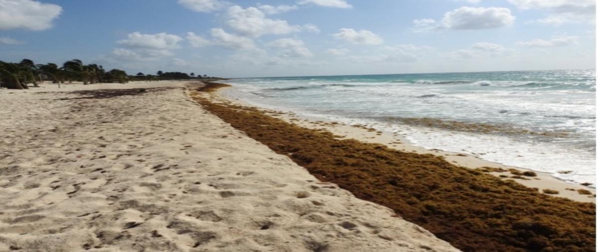 Foto de terreno habitacional en venta en  , tulum centro, tulum, quintana roo, 27685757 No. 03