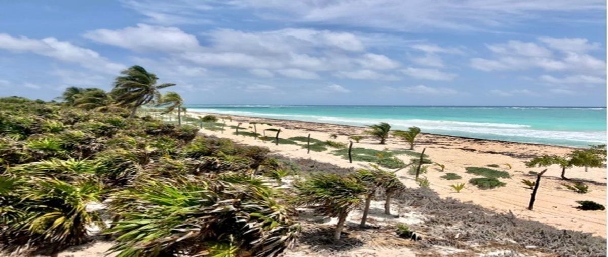 Foto de terreno habitacional en venta en  , tulum centro, tulum, quintana roo, 27685757 No. 04