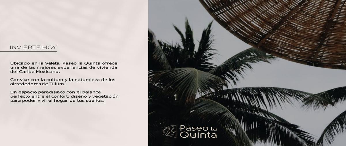 Foto de terreno habitacional en , tulum centro, tulum, quintana roo, 27776175 foto 04 Foto de terreno habitacional en venta en , tulum centro, tulum, quintana roo, 27776175 No. 04