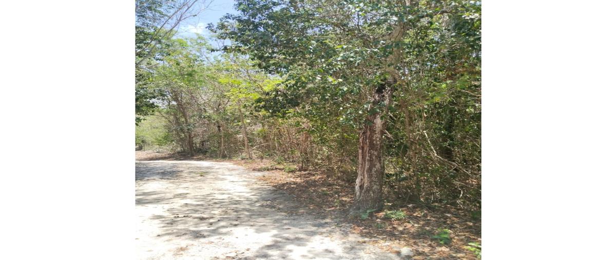 Foto de terreno habitacional en venta en  , tulum centro, tulum, quintana roo, 0 No. 04