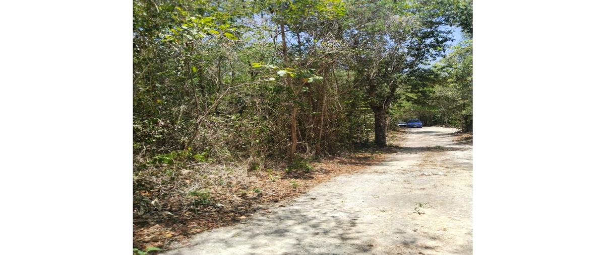 Foto de terreno habitacional en venta en  , tulum centro, tulum, quintana roo, 0 No. 05