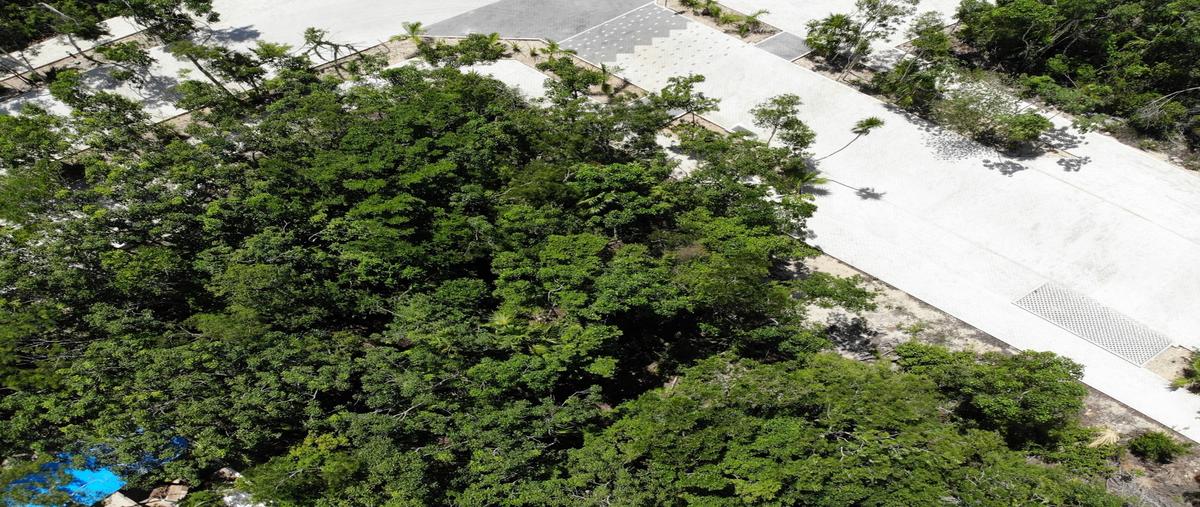 Foto de terreno habitacional en venta en  , tulum centro, tulum, quintana roo, 0 No. 04