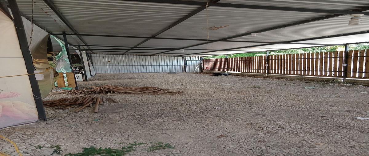 Foto de terreno comercial en , tulum centro, tulum, quintana roo, 0 foto 01 Foto de terreno comercial en renta en , tulum centro, tulum, quintana roo, 0 No. 01