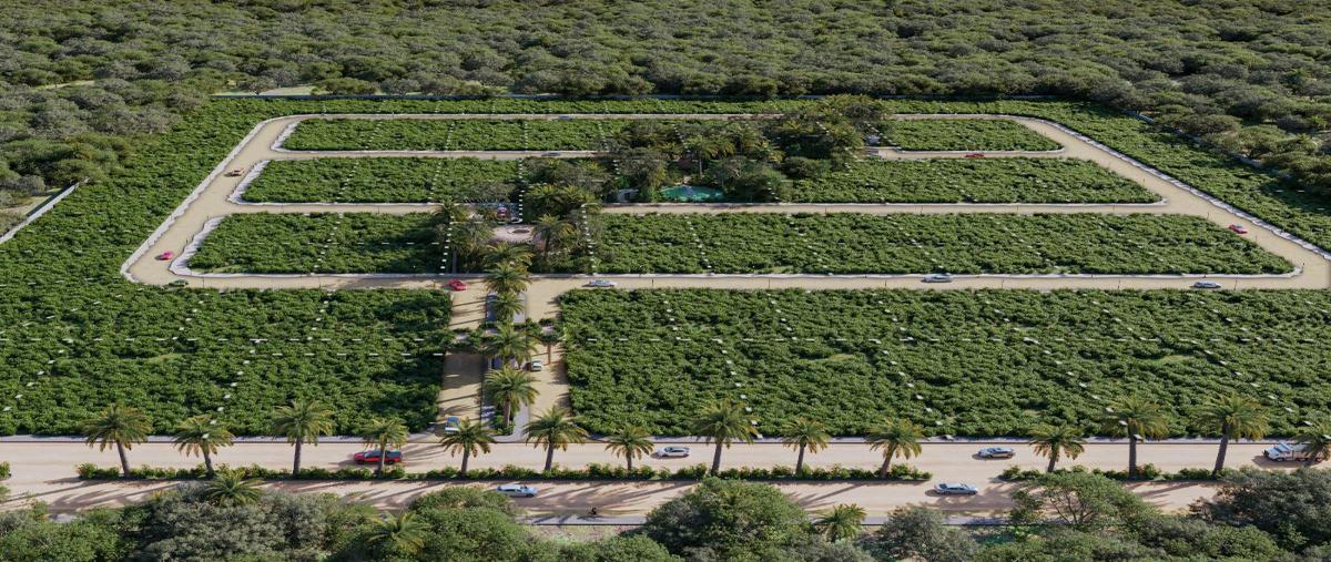 Foto de terreno habitacional en venta en  , tulum centro, tulum, quintana roo, 28784654 No. 03