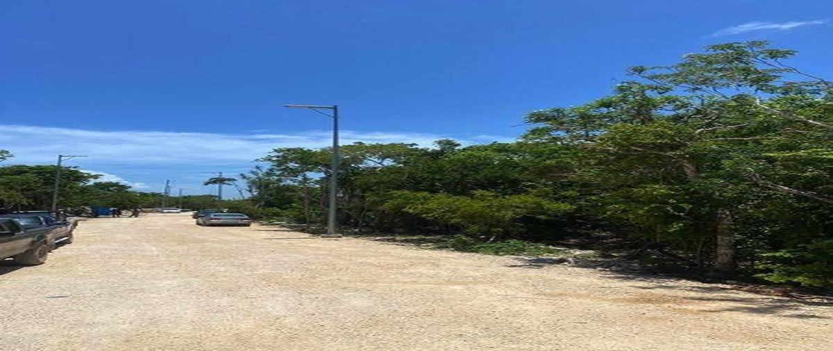 Foto de terreno habitacional en , tulum centro, tulum, quintana roo, 0 foto 04 Foto de terreno habitacional en venta en , tulum centro, tulum, quintana roo, 0 No. 04