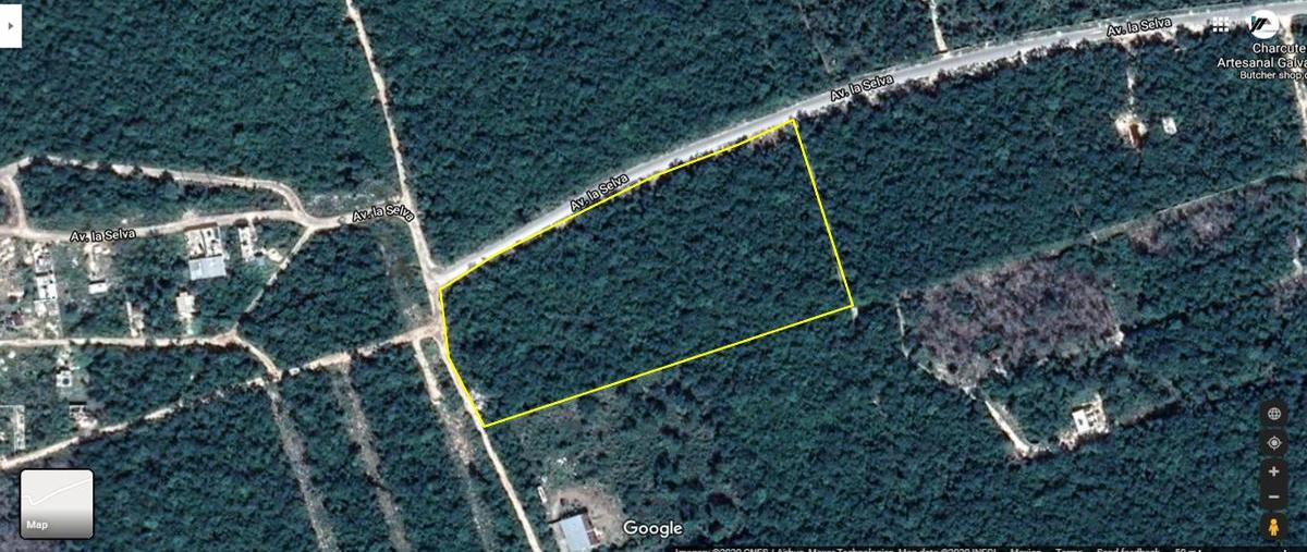 Foto de terreno habitacional en venta en  , tulum centro, tulum, quintana roo, 0 No. 03