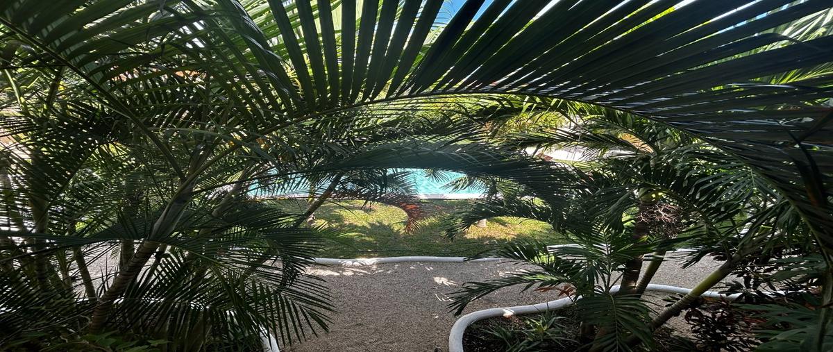 Foto de casa en condominio en venta en  , tulum centro, tulum, quintana roo, 0 No. 05