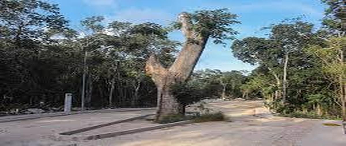 Foto de terreno habitacional en , tulum centro, tulum, quintana roo, 0 foto 05 Foto de terreno habitacional en venta en , tulum centro, tulum, quintana roo, 0 No. 05