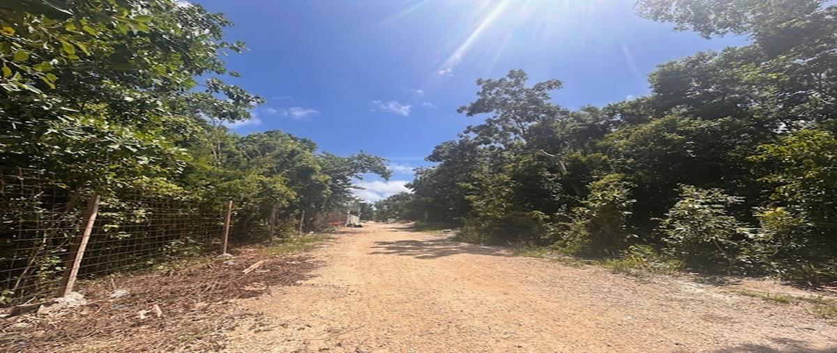 Foto de terreno habitacional en , tulum centro, tulum, quintana roo, 0 foto 05 Foto de terreno habitacional en venta en , tulum centro, tulum, quintana roo, 0 No. 05