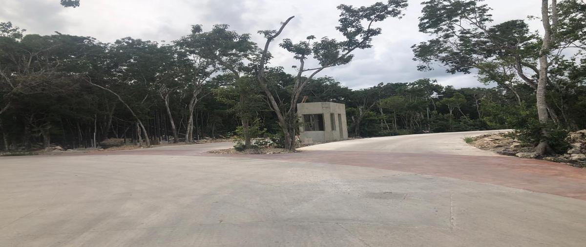 Foto de terreno habitacional en venta en  , tulum centro, tulum, quintana roo, 0 No. 03