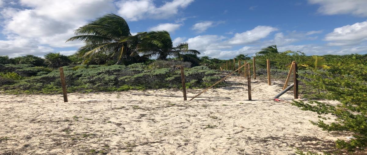 Foto de terreno habitacional en venta en  , tulum centro, tulum, quintana roo, 0 No. 03