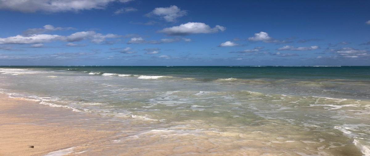 Foto de terreno habitacional en venta en  , tulum centro, tulum, quintana roo, 0 No. 04