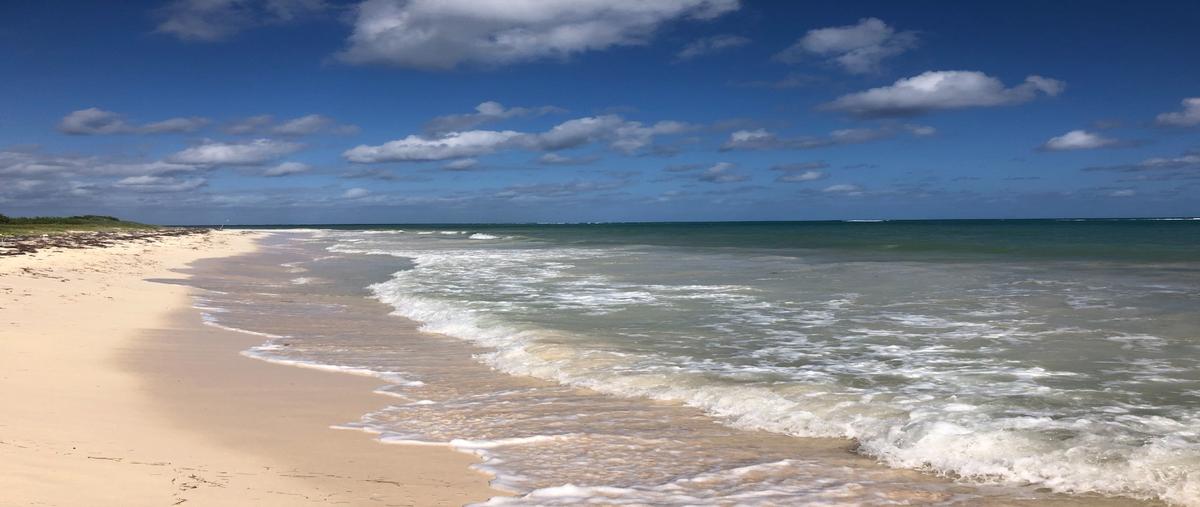 Foto de terreno habitacional en venta en  , tulum centro, tulum, quintana roo, 0 No. 05