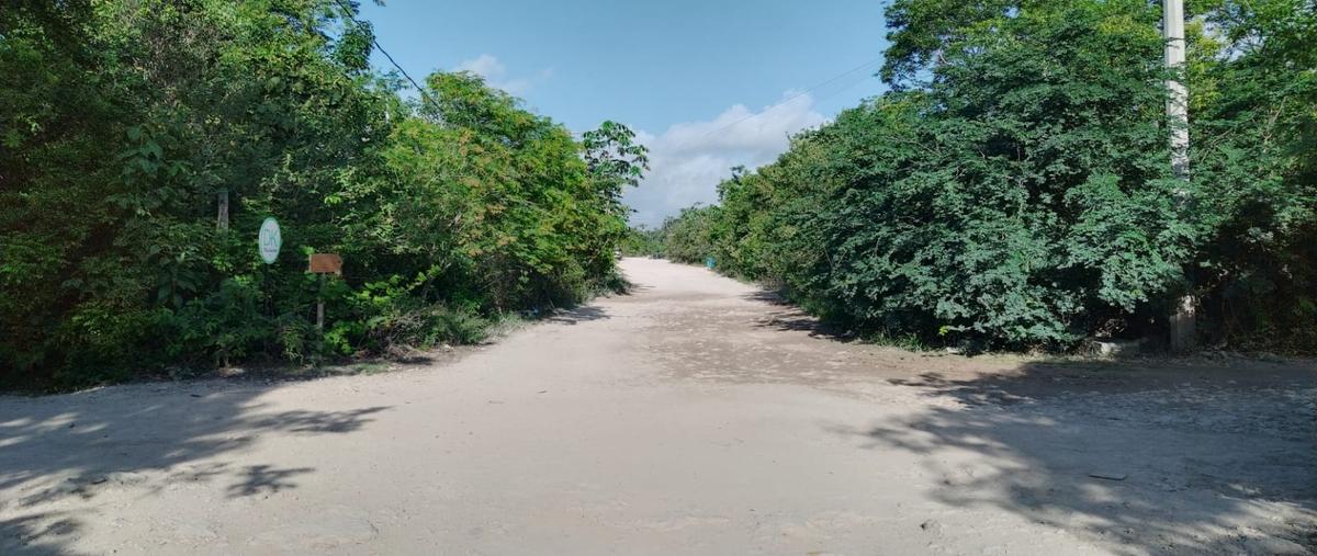 Foto de terreno habitacional en venta en  , tulum centro, tulum, quintana roo, 0 No. 04