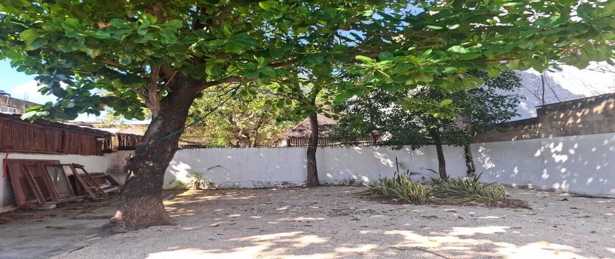 Foto de terreno comercial en venta en  , tulum centro, tulum, quintana roo, 29137817 No. 03