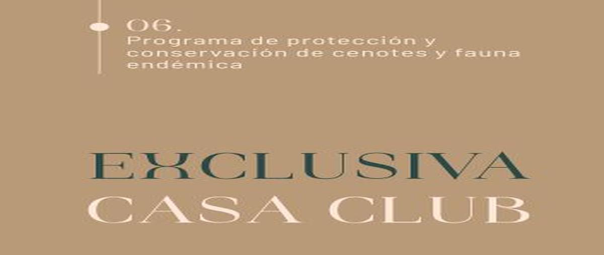 Foto de terreno habitacional en venta en  , tulum centro, tulum, quintana roo, 0 No. 04