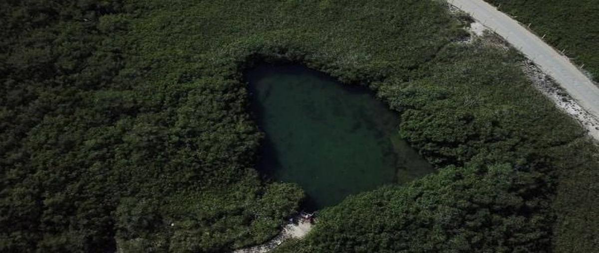 Foto de terreno habitacional en venta en  , tulum centro, tulum, quintana roo, 0 No. 04