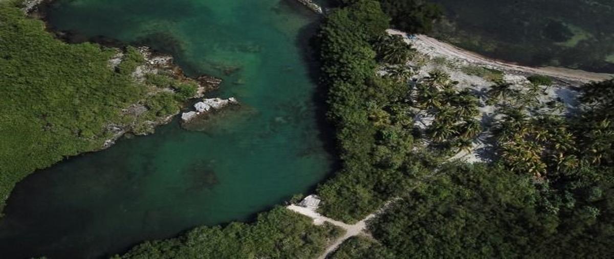 Foto de terreno habitacional en venta en  , tulum centro, tulum, quintana roo, 0 No. 05
