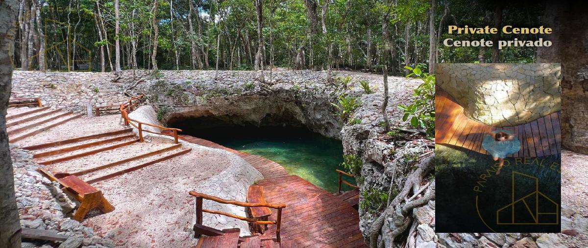 Foto de terreno habitacional en venta en  , tulum centro, tulum, quintana roo, 30100010 No. 03