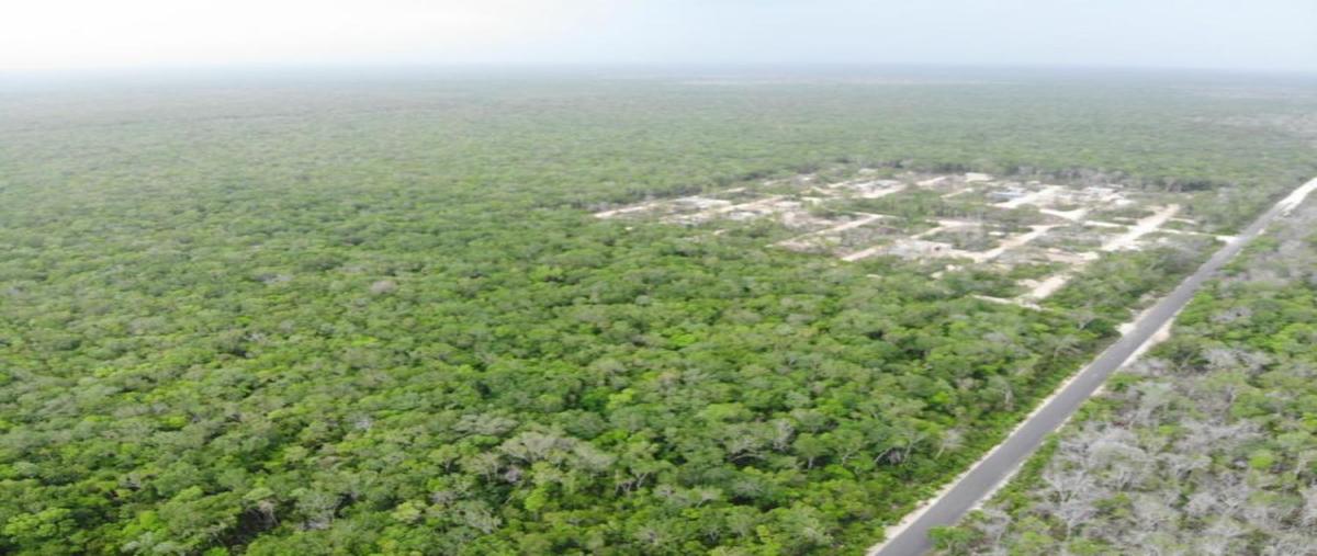 Foto de terreno habitacional en venta en  , tulum centro, tulum, quintana roo, 30328271 No. 05