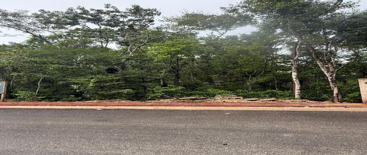 Foto de terreno habitacional en venta en  , tulum centro, tulum, quintana roo, 30356101 No. 03