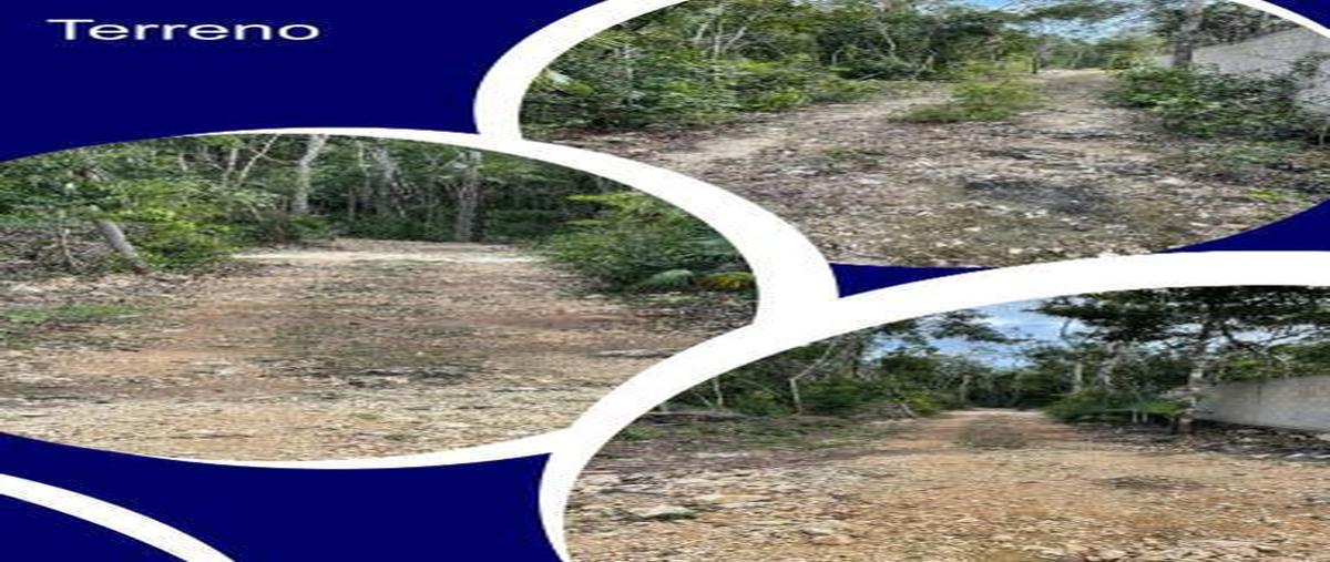 Foto de terreno habitacional en venta en  , tulum centro, tulum, quintana roo, 0 No. 05