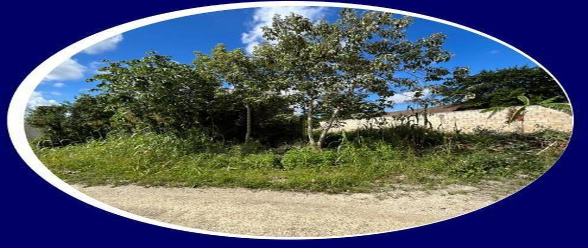 Foto de terreno habitacional en venta en  , tulum centro, tulum, quintana roo, 0 No. 04