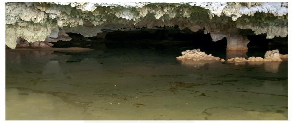 Foto de terreno habitacional en venta en  , tulum centro, tulum, quintana roo, 0 No. 05