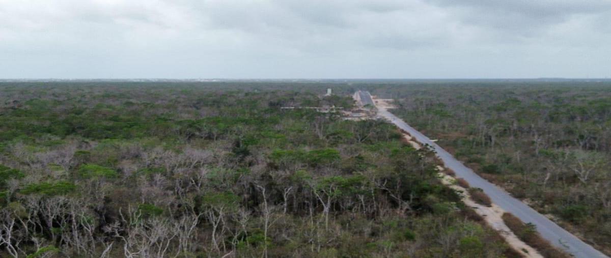 Foto de terreno habitacional en venta en  , tulum centro, tulum, quintana roo, 0 No. 03