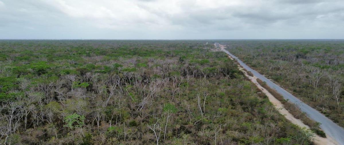 Foto de terreno habitacional en venta en  , tulum centro, tulum, quintana roo, 0 No. 04