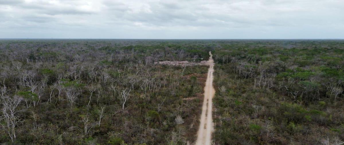 Foto de terreno habitacional en venta en  , tulum centro, tulum, quintana roo, 0 No. 05