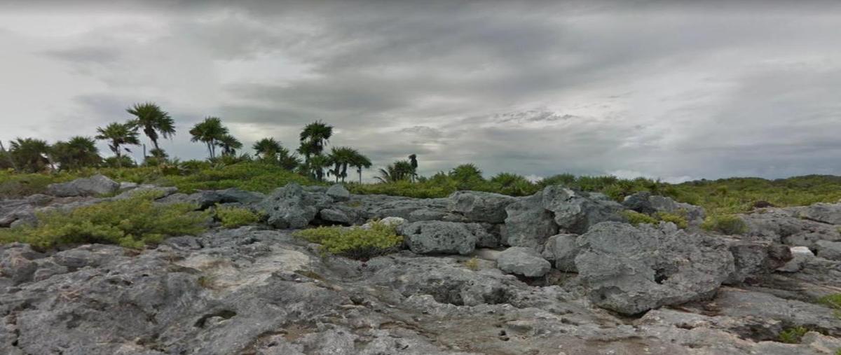 Foto de terreno habitacional en venta en  , tulum centro, tulum, quintana roo, 0 No. 04
