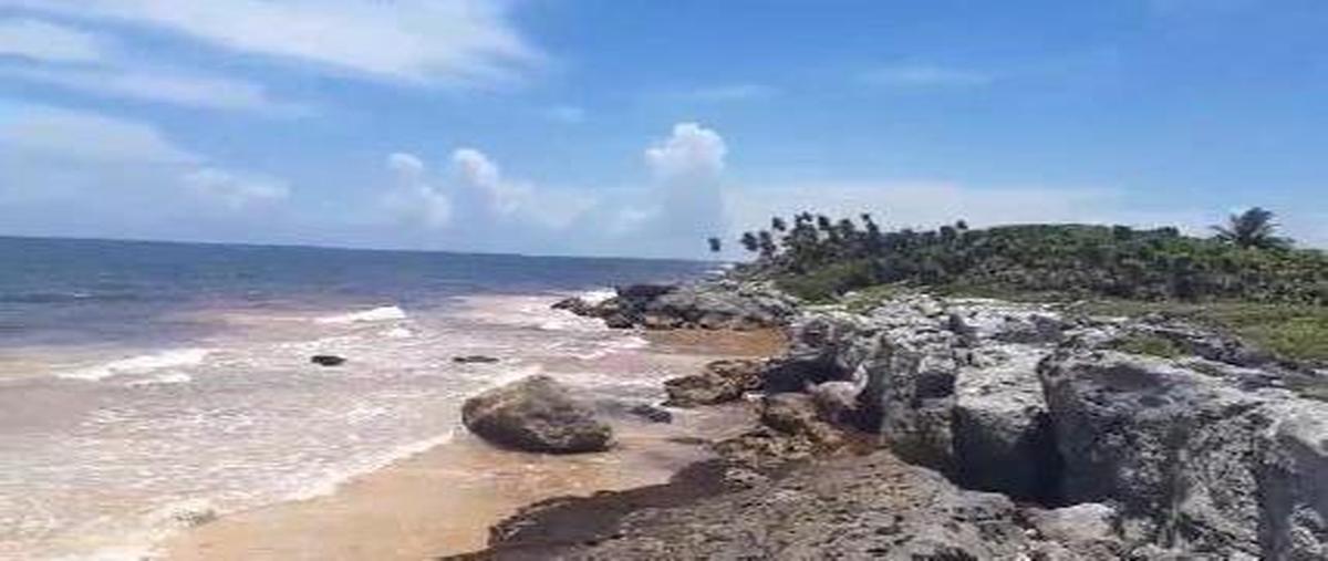 Foto de terreno habitacional en venta en  , tulum centro, tulum, quintana roo, 30889634 No. 05