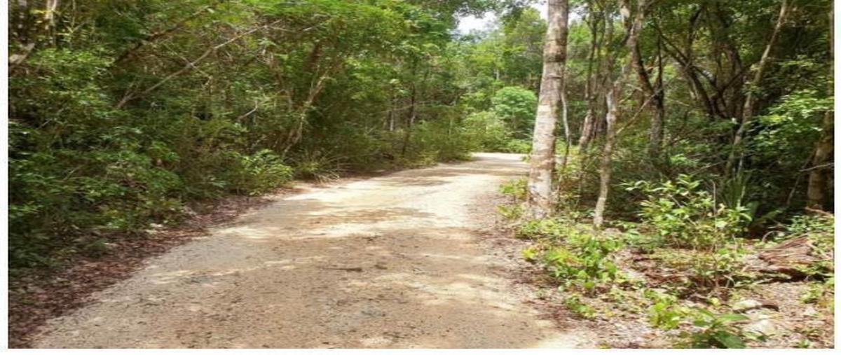 Foto de terreno habitacional en venta en  , tulum centro, tulum, quintana roo, 30889642 No. 05