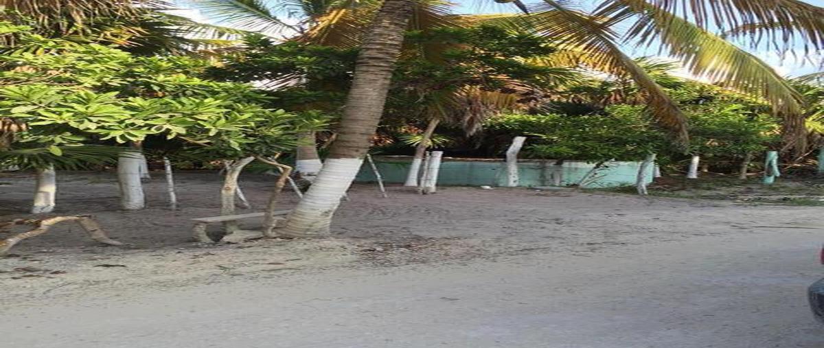 Foto de terreno habitacional en venta en  , tulum centro, tulum, quintana roo, 30889643 No. 04