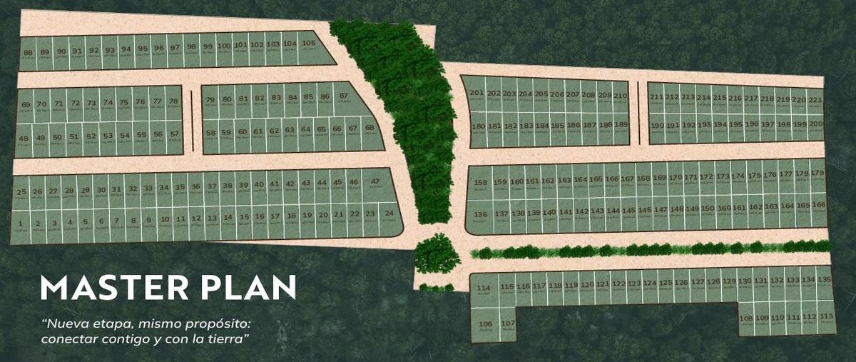 Foto de terreno habitacional en , tulum centro, tulum, quintana roo, 0 foto 01 Foto de terreno habitacional en venta en , tulum centro, tulum, quintana roo, 0 No. 01