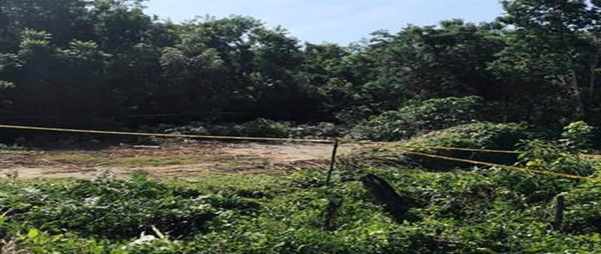 Foto de terreno habitacional en venta en  , tulum centro, tulum, quintana roo, 31029075 No. 03