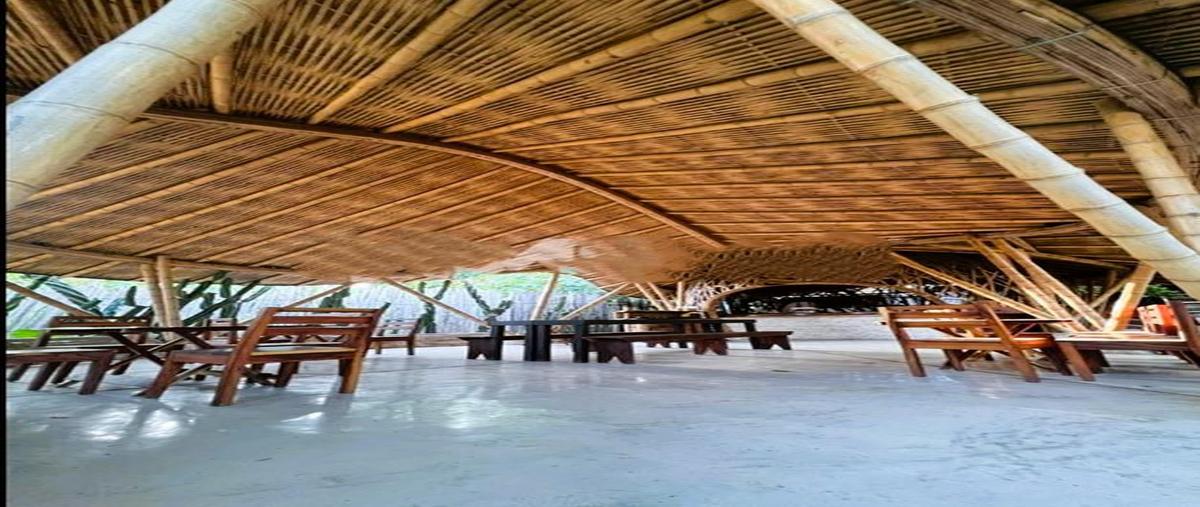 Foto de terreno habitacional en venta en  , tulum centro, tulum, quintana roo, 31029089 No. 05