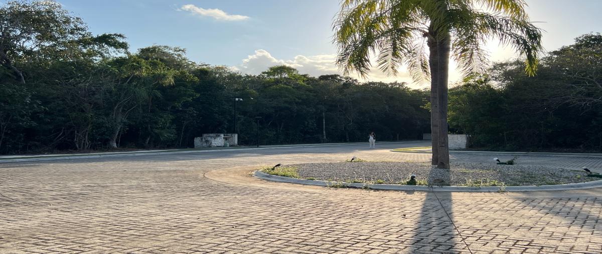 Foto de terreno habitacional en venta en  , tulum centro, tulum, quintana roo, 0 No. 05
