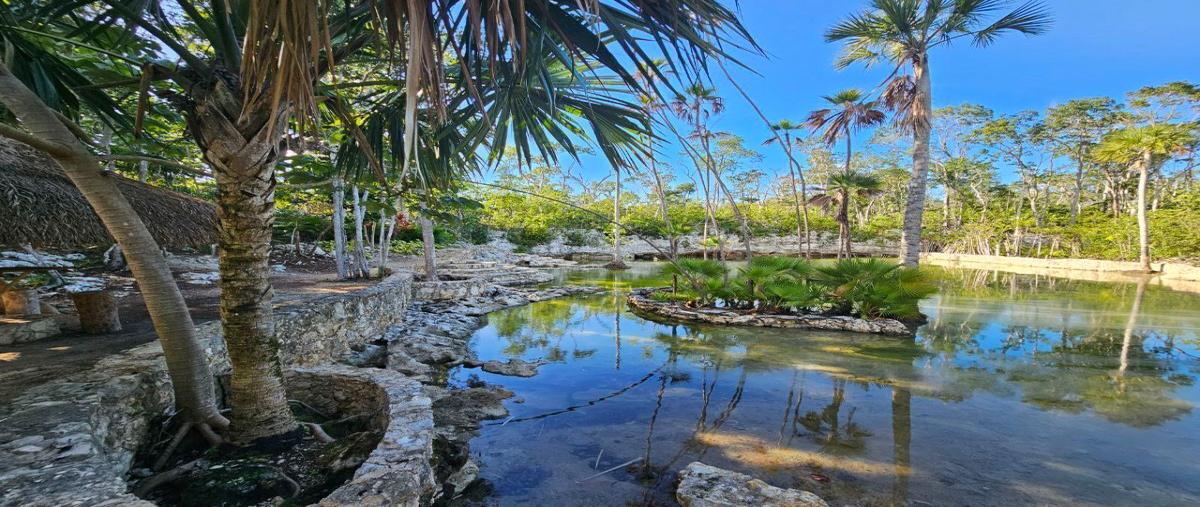 Foto de terreno habitacional en venta en  , tulum centro, tulum, quintana roo, 0 No. 04