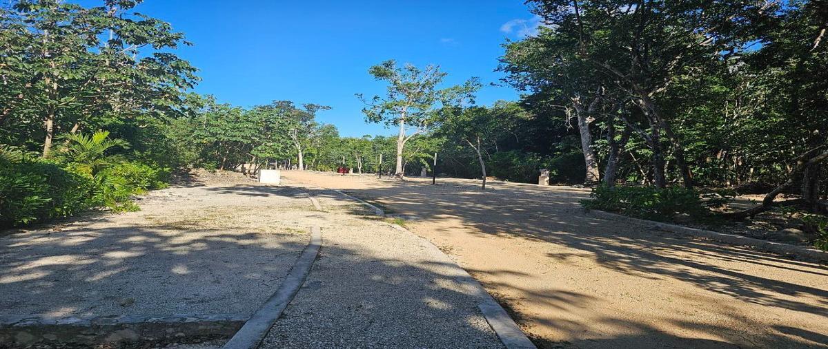Foto de terreno habitacional en venta en  , tulum centro, tulum, quintana roo, 0 No. 05