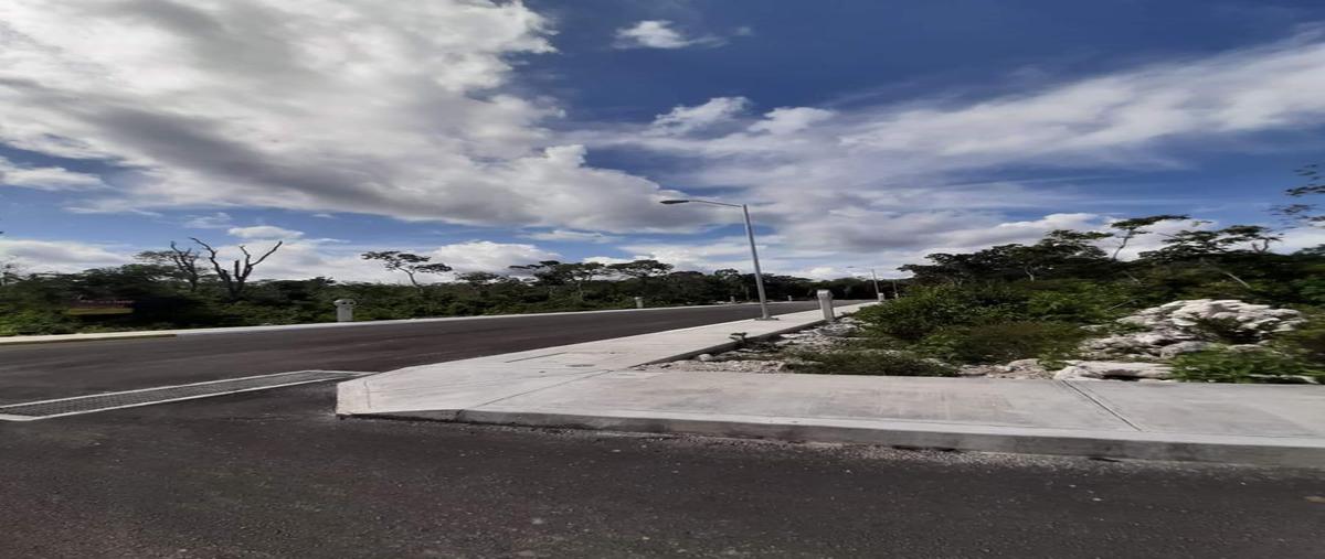 Foto de terreno habitacional en venta en  , tulum centro, tulum, quintana roo, 0 No. 03