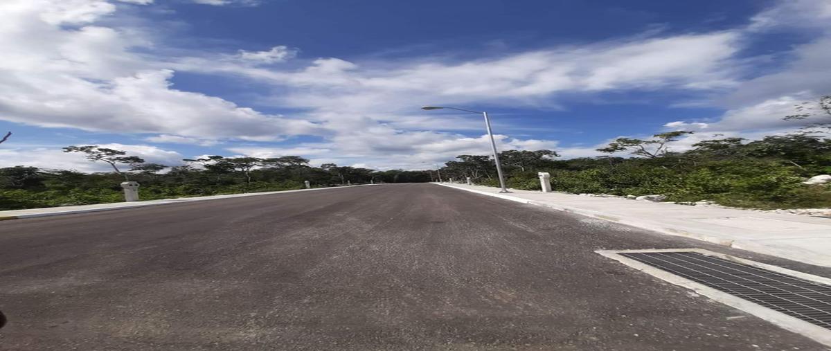 Foto de terreno habitacional en venta en  , tulum centro, tulum, quintana roo, 0 No. 05