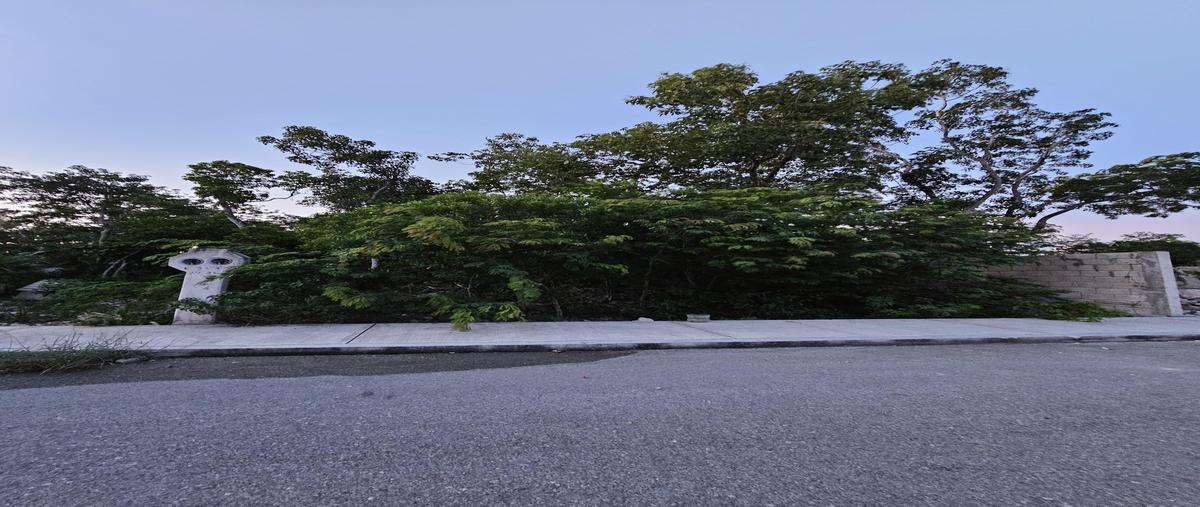 Foto de terreno habitacional en venta en  , tulum centro, tulum, quintana roo, 0 No. 03