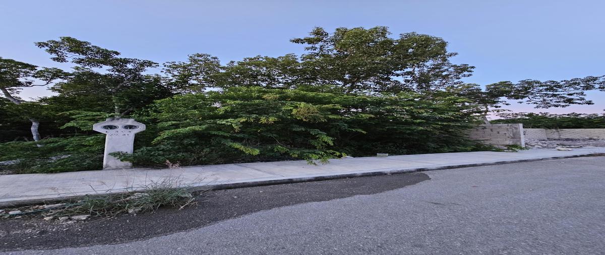 Foto de terreno habitacional en venta en  , tulum centro, tulum, quintana roo, 0 No. 04