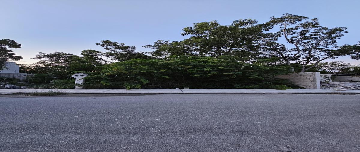 Foto de terreno habitacional en venta en  , tulum centro, tulum, quintana roo, 0 No. 05