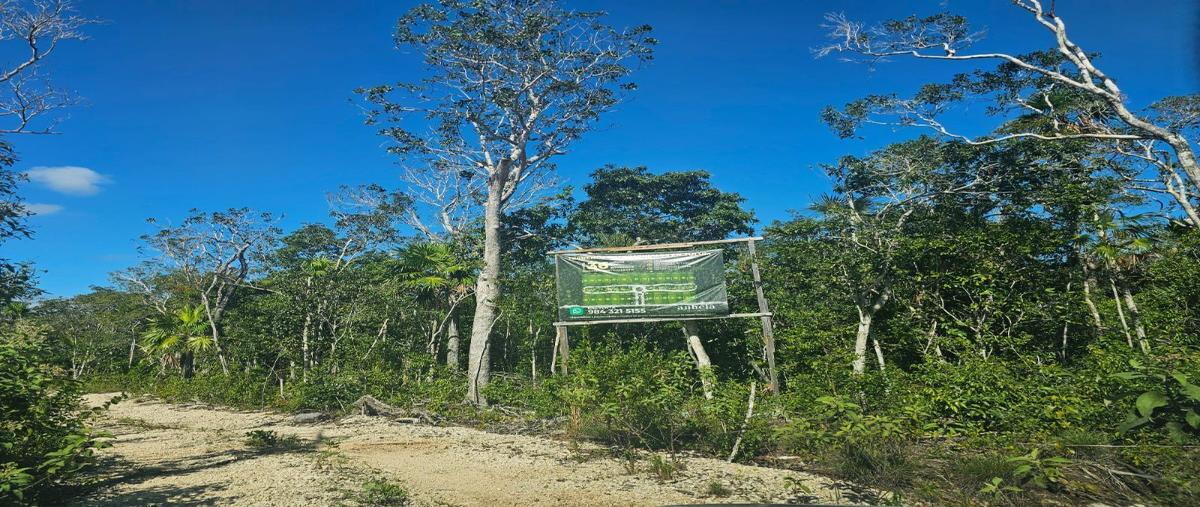 Foto de terreno habitacional en venta en  , tulum centro, tulum, quintana roo, 0 No. 03