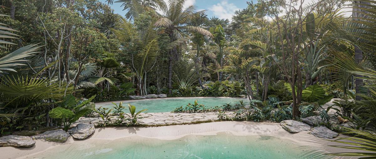 Foto de terreno habitacional en venta en  , tulum centro, tulum, quintana roo, 0 No. 05