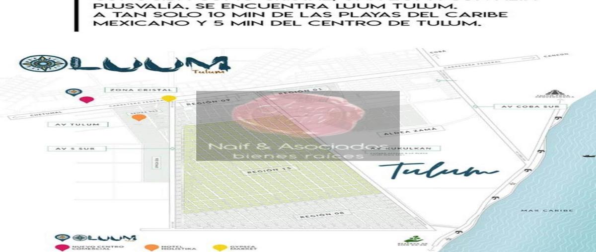 Foto de terreno habitacional en , tulum centro, tulum, quintana roo, 0 foto 05 Foto de terreno habitacional en venta en , tulum centro, tulum, quintana roo, 0 No. 05